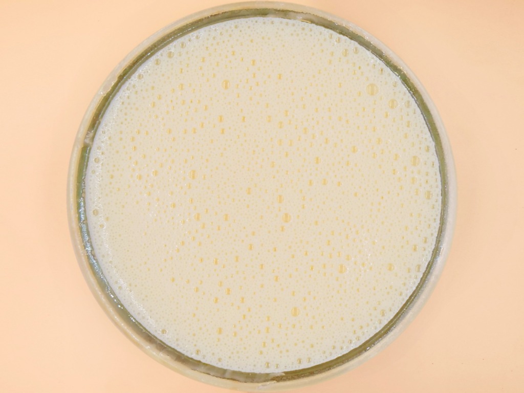 Creme brulee z erytrytolem przepis