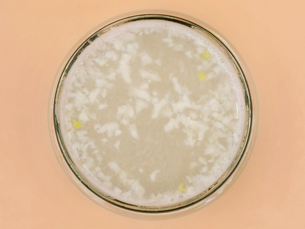 Syrop czosnkowy przepis