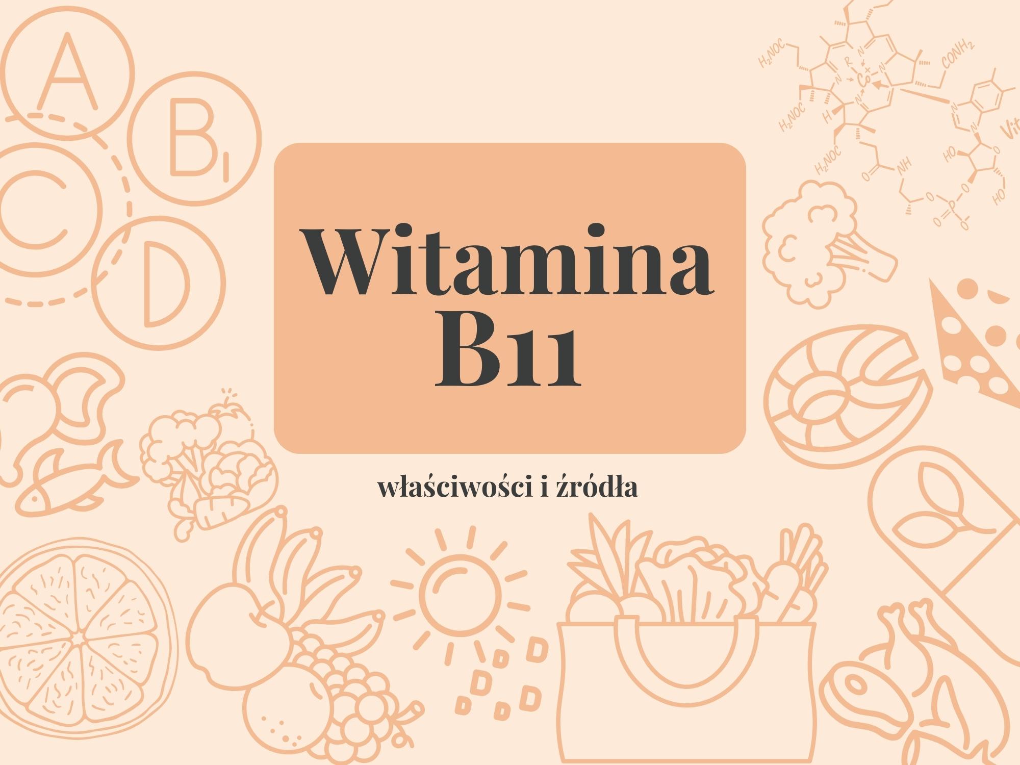 Witamina B11- właściwości, źródła i zastosowanie