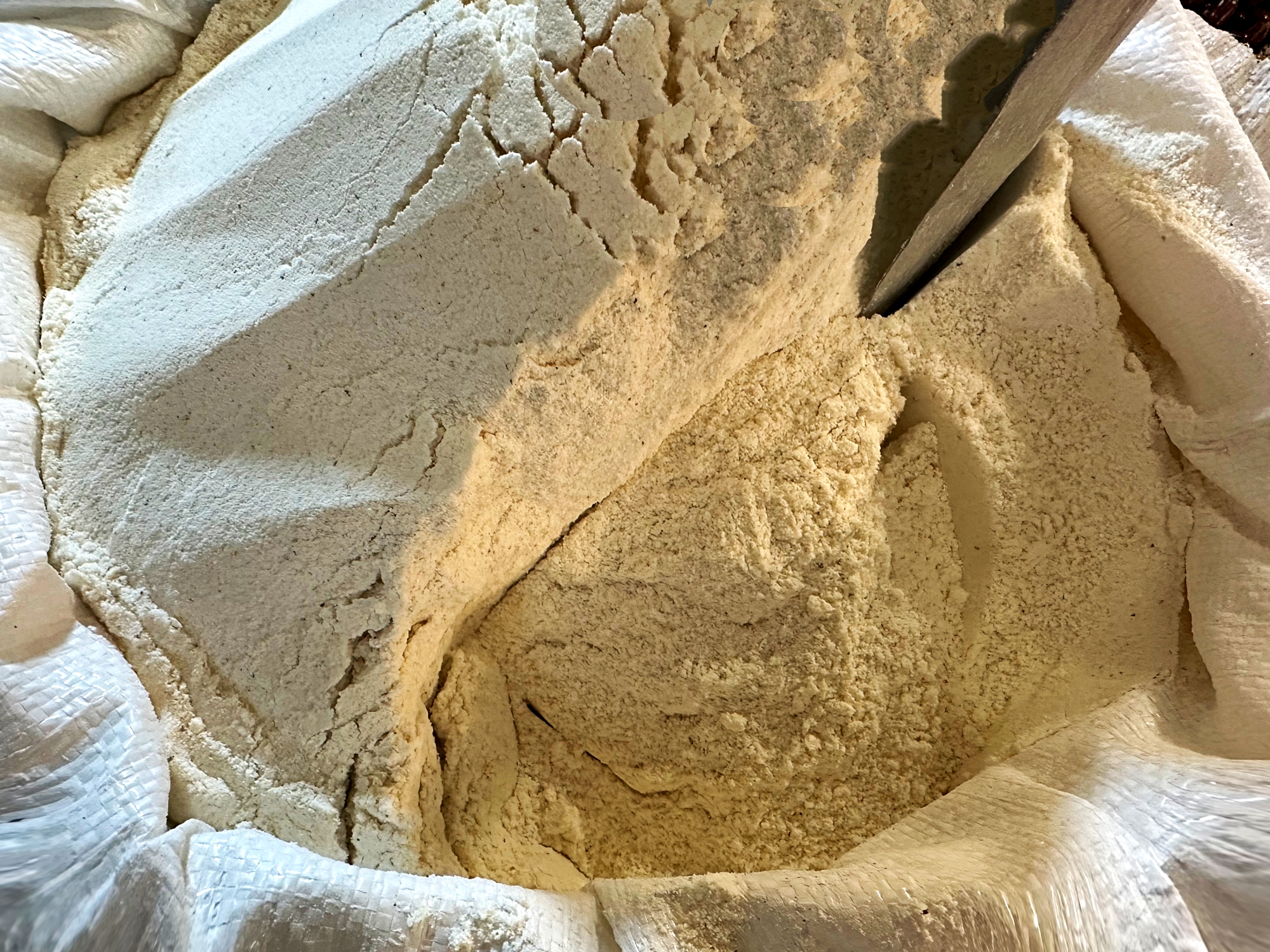 Większość ludzi źle przechowuje mąkę i nawet o tym nie wie