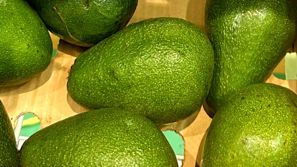 Dlaczego jedno awokado jest kremowe, a inne mdłe i gorzkie?