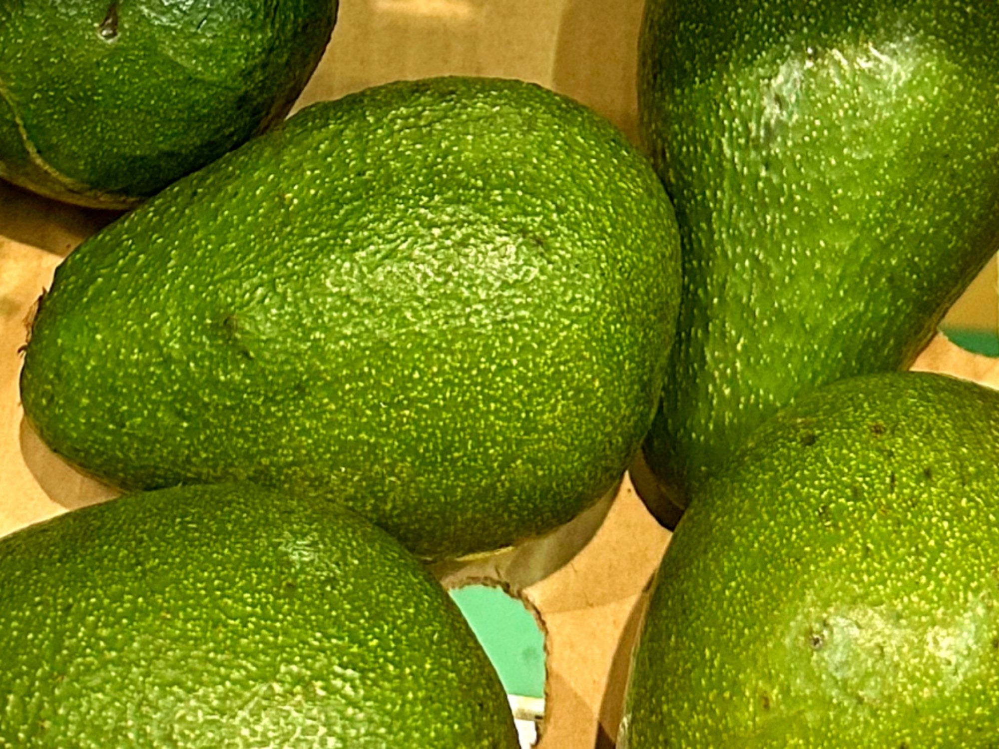 Dlaczego jedno awokado jest kremowe, a inne mdłe i gorzkie?