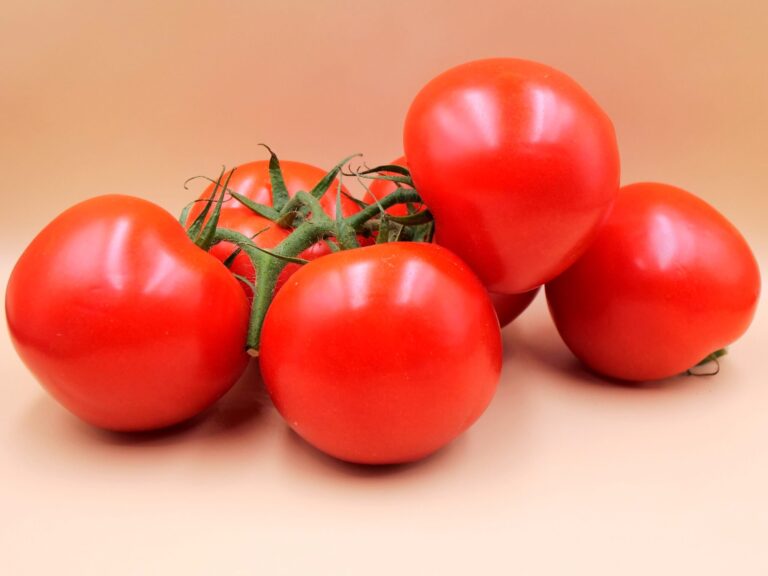 Skąd tak duże różnice w cenie pomidorów?