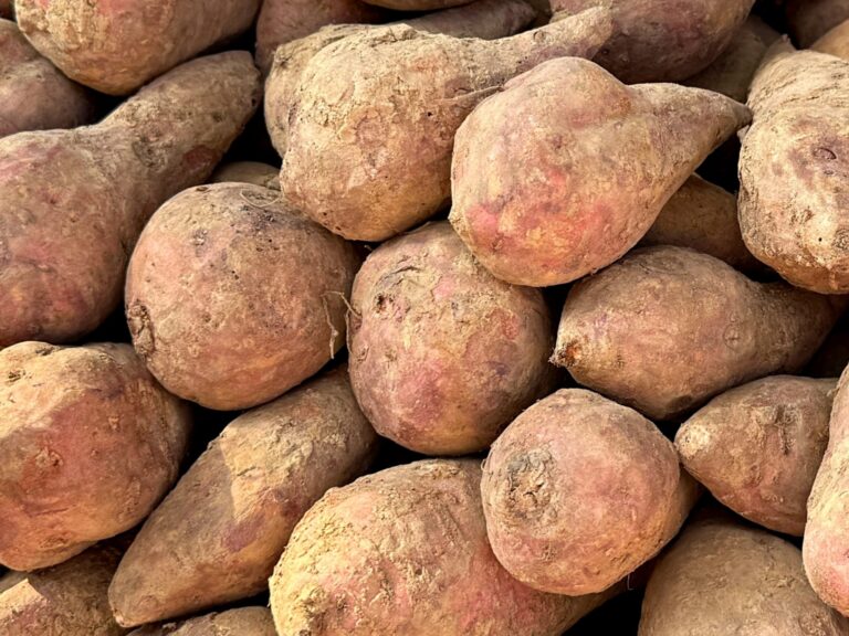 Czy bataty trzeba obierać? Lepiej to wiedzieć przed jedzeniem