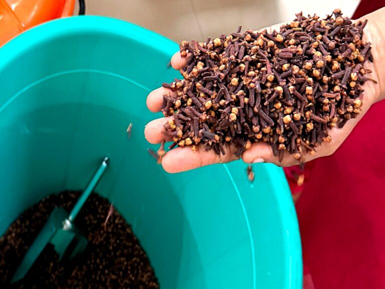 Ból zęba, ból głowy? Spróbuj tego, bo może ci pomóc