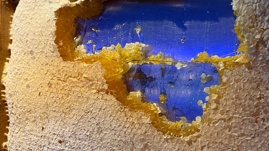 Lubisz herbatę z miodem? Lepiej to przeczytaj zanim kolejny raz ją przygotujesz