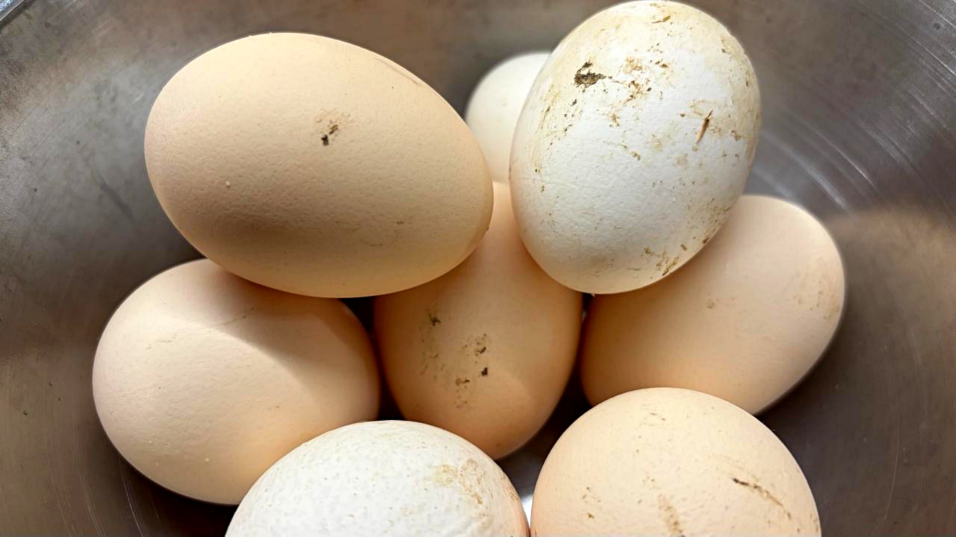 Zanim umyjesz jajko, przeczytaj to. Ten błąd popełnia wiele osób.