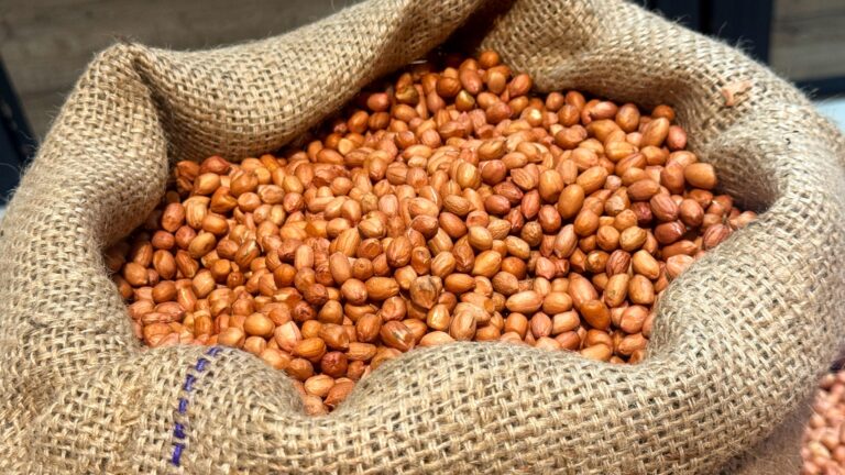 Większość osób to usuwa. Czy popełniasz błąd z orzeszkami ziemnymi?