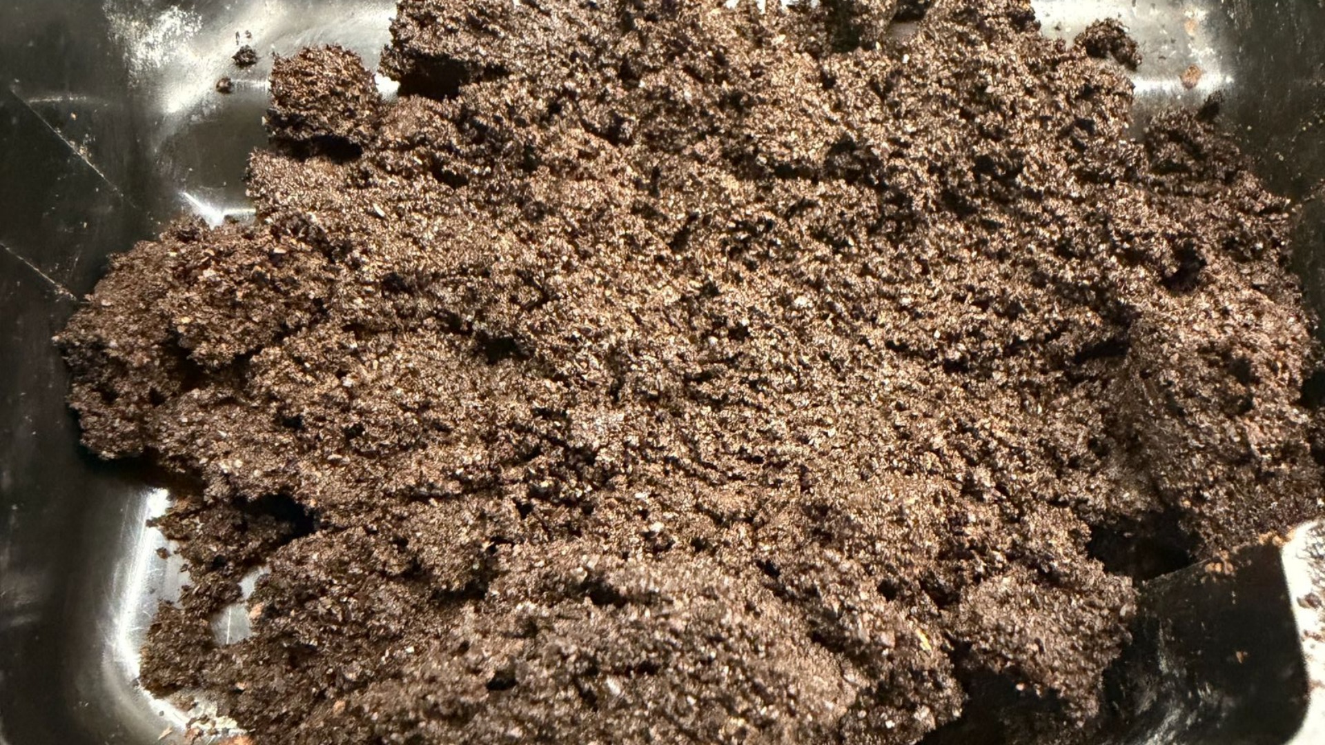 Masz ogródek lub balkon? Te kuchenne resztki przydadzą ci się bardziej niż niejeden sklepowy nawóz