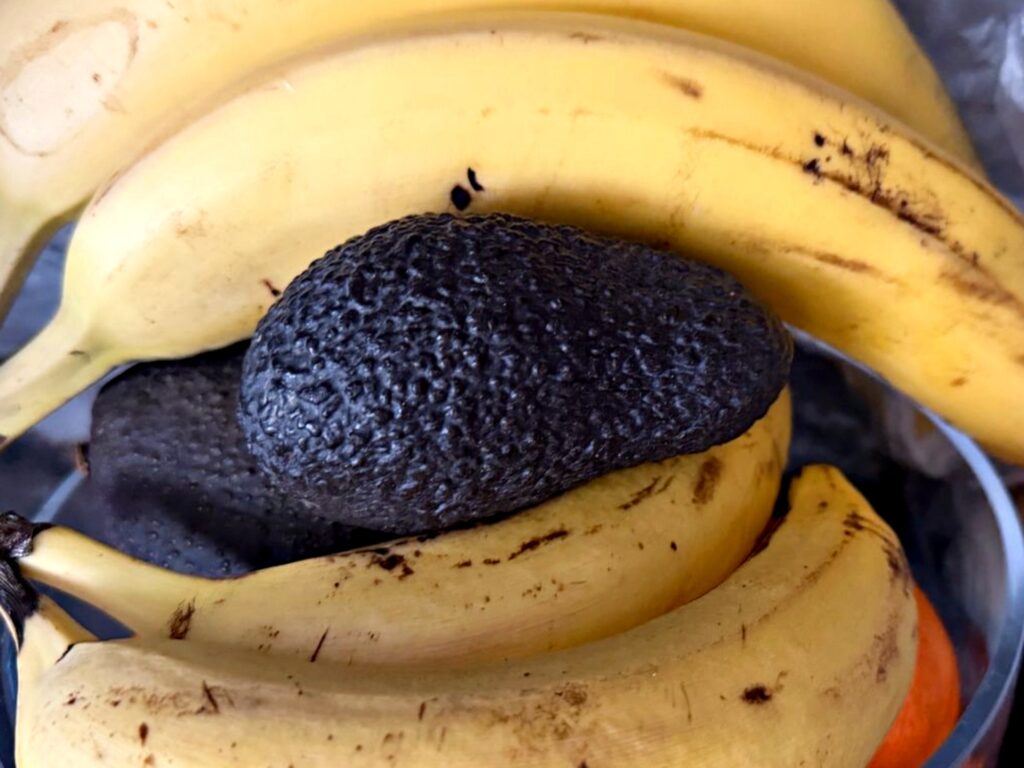 Położenie awokado przy bananach przyspiesza jego dojrzewanie. Chodzi o etylen